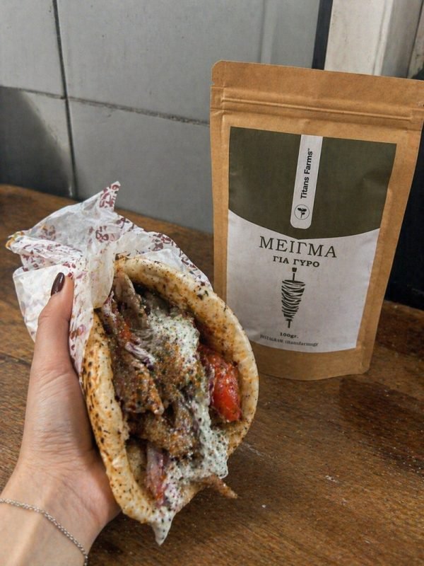 gyros4